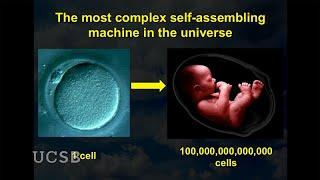 Creating New Organs, Ensuring Quality Control and Exploring the Cosmos