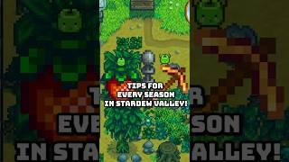 Tips & Tricks For Each Season In Stardew Valley  #stardewvalley