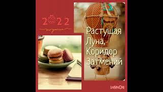 Растущая Луна с 3️⃣0️⃣ апреля по 1️⃣6️⃣ мая, и коридор затмений, текст в описании данного видео!