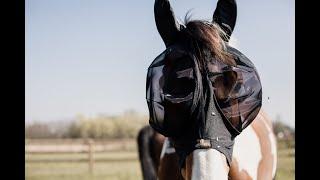 kentucky Horsewear Fly mask