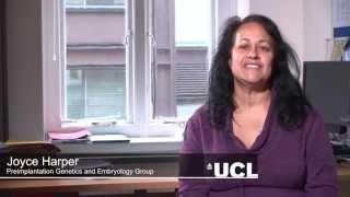 Joyce Harper, Embryology and IVF