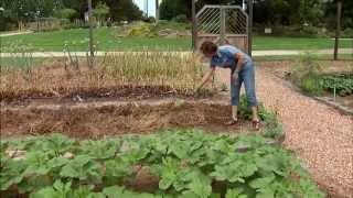 Organic Fertilizers