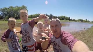 Seining a farm pond. What’s in it?