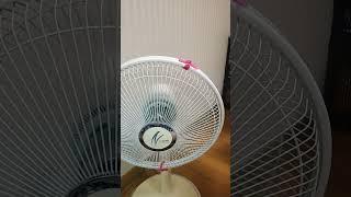 중학 영어 마스터 영어 문법 총정리#기초영어#문법강의#영어공부#초보영어#초등영어#중등영어#고등영어# 영어회화#shorts