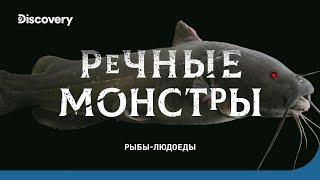 Рыбы-людоеды | Речные монстры | Discovery Channel