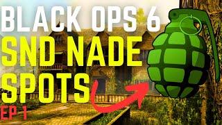 BEST Grenade Spots You Need to Know in Black Ops 6!