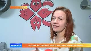 В Саранске открылось котопространство Муррдовия