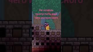 Terrariа- а вы любите котиков? да тогда с вас лайк