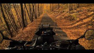 CFMOTO 450MT-R/RX | AUTUMN RIDE | (RAW SOUND) 4K