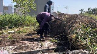 Clearing the Sidewalk Overrun by Weeds and Used as a Dumping Ground - Watch Us Clean It Up.