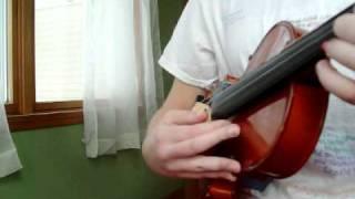 Taylor Swift Fearless - on the Violin