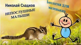 Н.СЛАДКОВ "НЕПОСЛУШНЫЕ МАЛЫШИ"