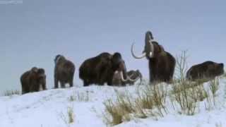 ICE AGE Walking With Beasts BBC