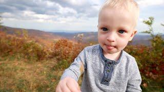 Шикарное Путешествие по Горам Blue Ridge Parkway Закончилось Шишкой на Лбу | Семейный влог в США