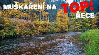 Fishing for grayling and other small fish on the TOP Czech river