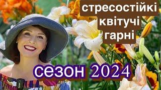 Стресостійкі та Гарні. Квітучі рослини для сезону 2024