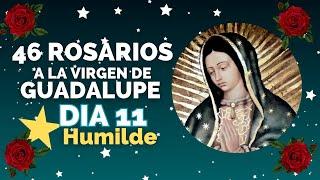 DIA 11|⭐ Estrella Humilde |46 Rosarios a la Virgen de Guadalupe |Misterios Luminosos