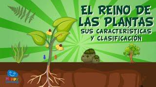 El reino de las plantas. Sus características y clasificación | Vídeos Educativos para Niños