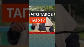 Что такой ТАГУТ? СИРАДЖ АБУ ТАЛЬХА #тагут#шайтан#дьявол#ширк