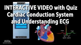 NEW! INTERACTIVE Animation: Cardiac Conduction System and Understanding ECG (EKG)