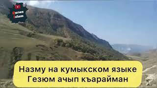 Нашид на кумыкском языке Гезюм ачып къарайман