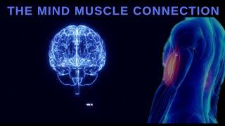 The Mind Muscle Connection