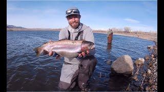 Ice off fly fishing in southern Utah