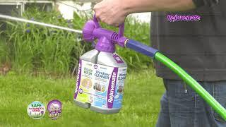 Rejuvenate House Wash and Window Cleaner - Dual Bottle