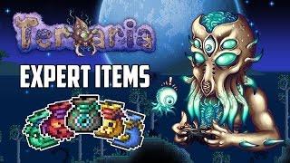 Terraria 1.3 Expert Mode Treasure Bags | Top 5 Best Expert Mode Items | PC | XBOX1 | PS4