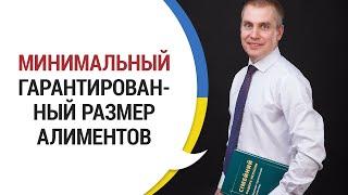 МИНИМАЛЬНЫЙ ГАРАНТИРОВАННЫЙ РАЗМЕР АЛИМЕНТОВ