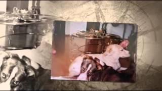 AVRA TSALAMANIOU - MY ANIMALS