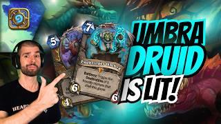 Taunt Druid Guide and Gameplay!