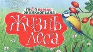 Книга для детей "Жизнь леса" ISBN: 978-5-18-001021-6