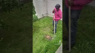 "Epic Battle: Douglas Lawn Care vs. Wasp !" #douglaslawncare  #wasp #wasphole #fire #puttingoutfires