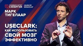 UseClark: как использовать мозг эффективно? | Вебинар с Марком Тигелааром | Университет СИНЕРГИЯ