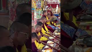 #Kopan #Kagyumonlam #buddhist #video https://www.youtube.com/@dawatshering4575