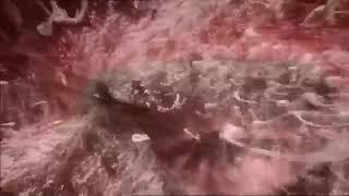 Тарзи инкишофи кудак дар батни модар
