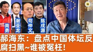 【郝海东】盘点中国体坛反腐扫黑~谁被冤枉！南勇/谢亚龙/苟仲文/陈戌源/邵文忠/王登峰/杨一民/李冬生/申思/祁宏/江津/李明...  #郝海东 #足球 #世界杯 #中国足球