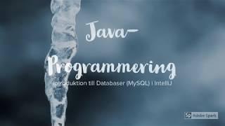 Introduktion till databaser (MySQL) i IntelliJ - del 1