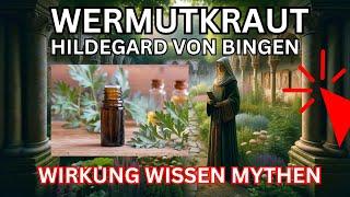 Wermut Wirkung nach Hildegard von Bingen  Artemisia Absinthium 