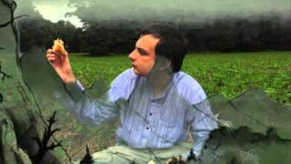 Matt Tucci - Girls in there Summer Clothes
