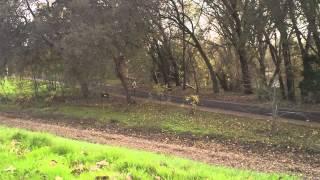 American River Rises, Bike Trails Still Active