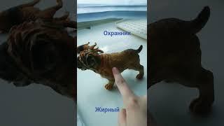 охранник жирный #ютубнеболей