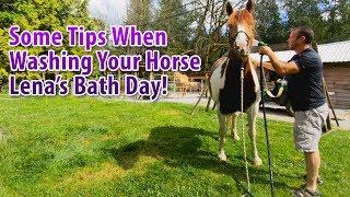 Some Tips When Washing Your Horse, Lena's Bath Day!