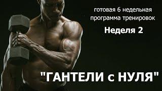 Круговые тренировки/ГАНТЕЛИ с НУЛЯ/НЕДЕЛЯ#2/nezanuda/dumbbells for beginners