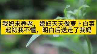 我媽來養老，媳婦天天做蘿蔔白菜，起初我不懂，明白後送走了我媽