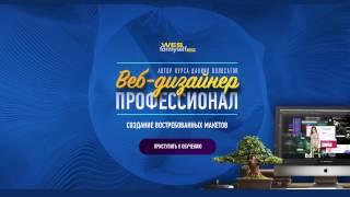 Д. Волосатов   Видеокурс «Веб-дизайнер - профессионал»