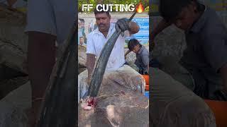 KASIMEDU  MINNAL RAJA BIG SEER FISH CUTTING VIDEO #kasimeduraja #fishcutting #youtubeshorts