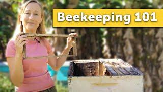 BEEKEEPING 101 | How to Keep Bees for the Absolute Beginner Beekeeper