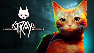 Выгуливаю кота - STRAY ПРОХОЖДЕНИЕ #3